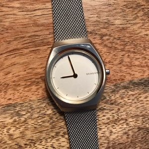 Skagen Mesh Watch two toned color